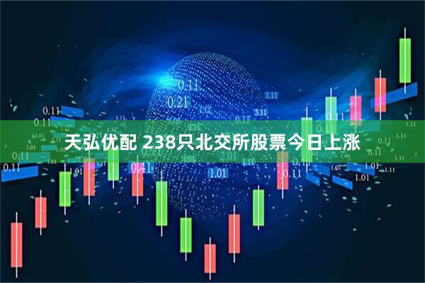 天弘优配 238只北交所股票今日上涨
