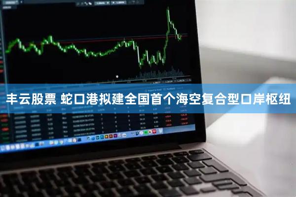 丰云股票 蛇口港拟建全国首个海空复合型口岸枢纽