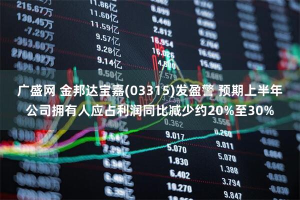 广盛网 金邦达宝嘉(03315)发盈警 预期上半年公司拥有人应占利润同比减少约20%至30%