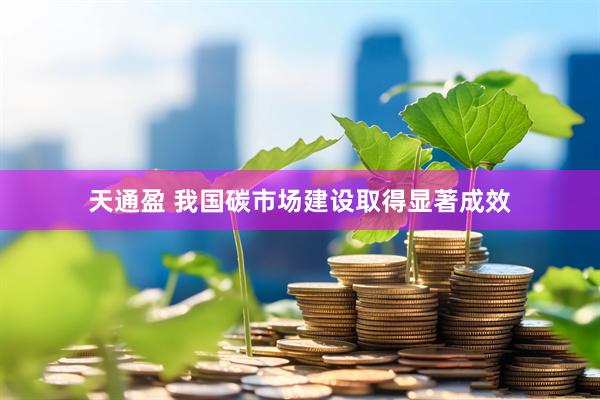 天通盈 我国碳市场建设取得显著成效